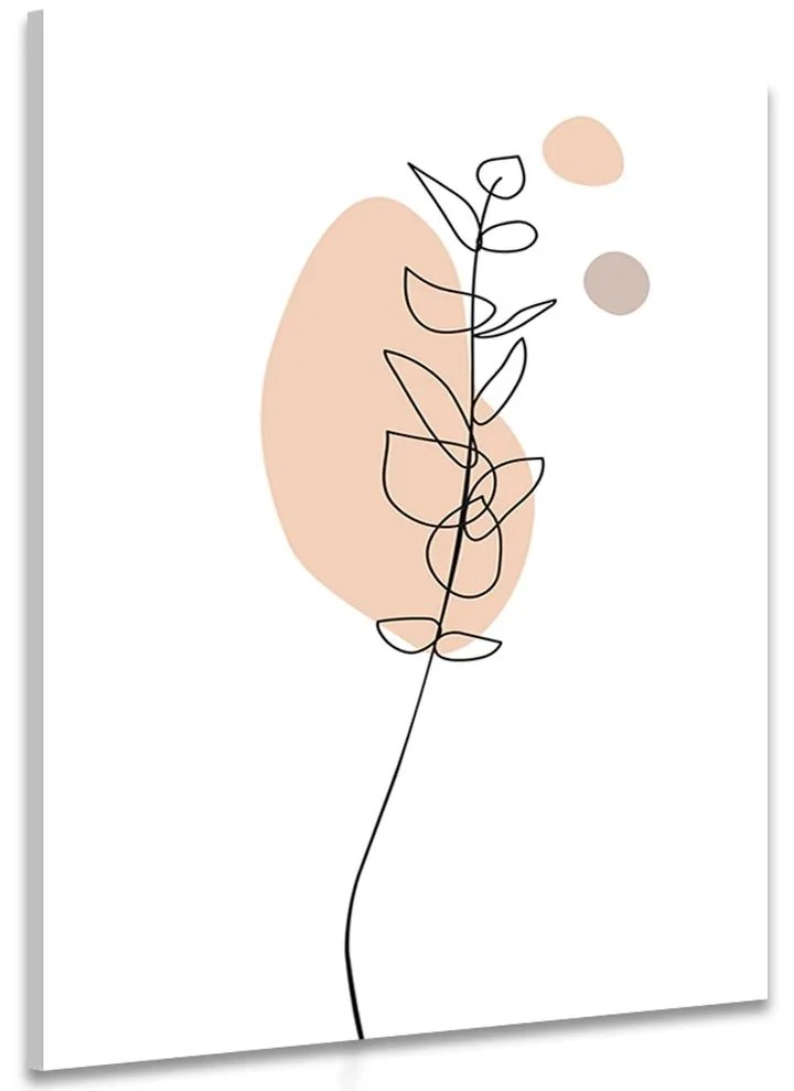 Kép minimalista levél fehér háttéren No3