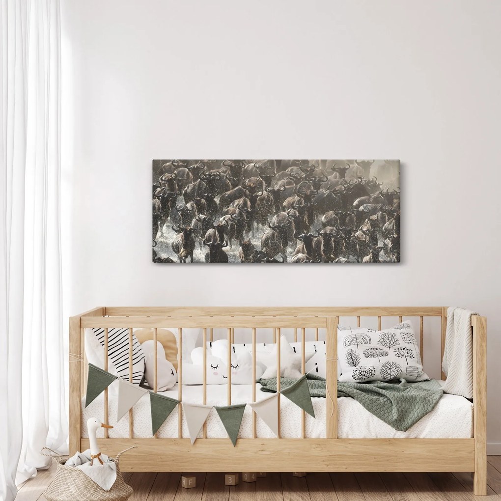 Kép - Gnúcsorda (120x50 cm)