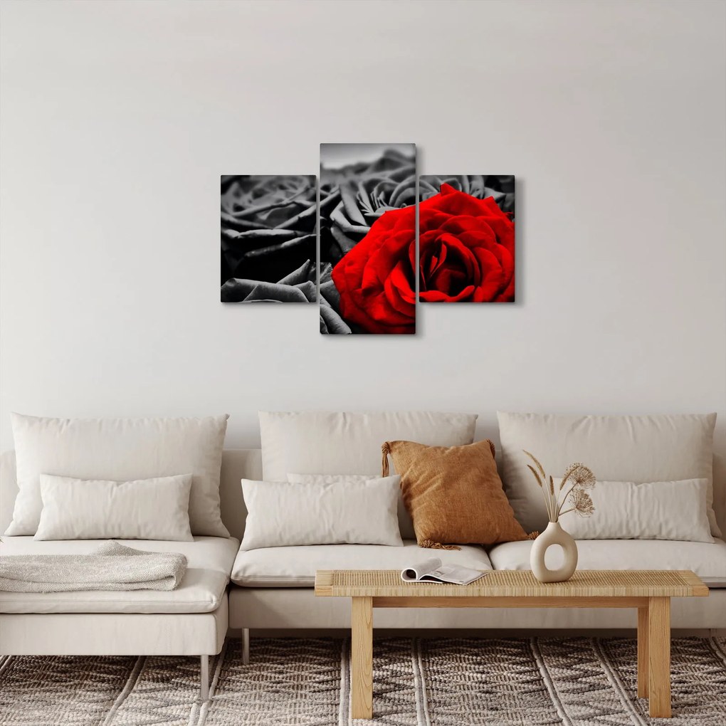 Kép - Rózsa virágok (90x60 cm)