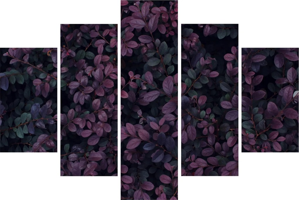Sötétvörös levelek képe (150x105 cm)