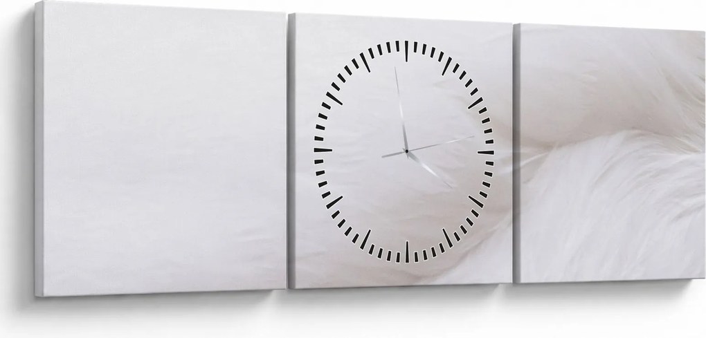 Kép - Fehér toll (órával) (90x30 cm)