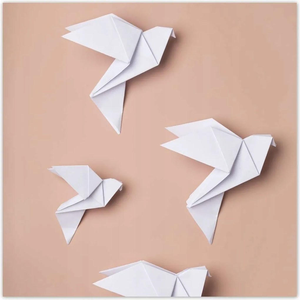 Poszter 70x70 Origami fehér galamb