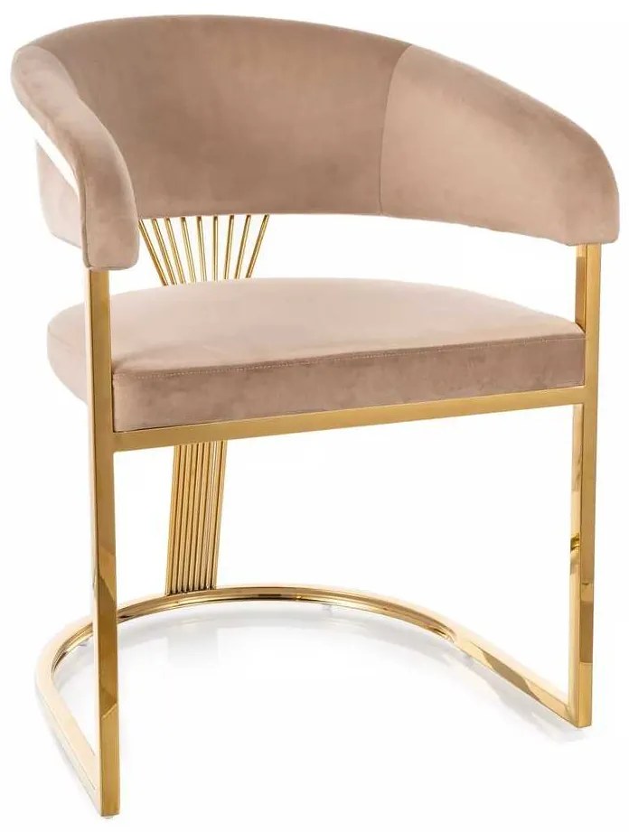 Brimont étkezőszék, bézs / arany