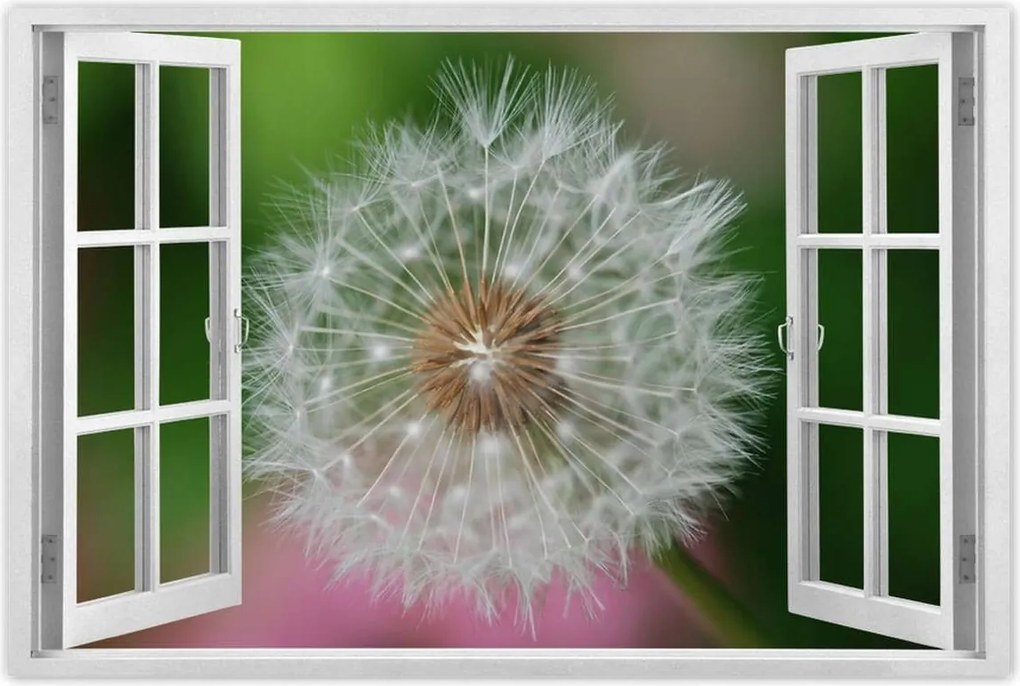 Poszterek 90x60 Pitypang Virág Virágok