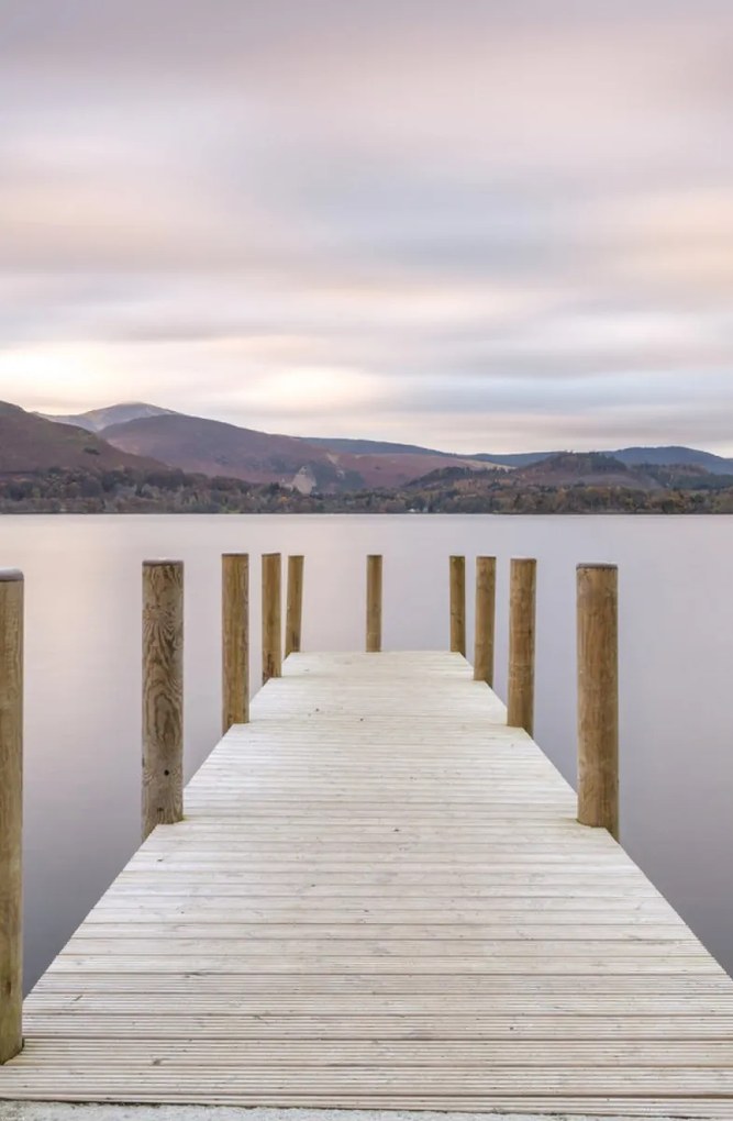 Poszter 53x81cm, Assaf Frank