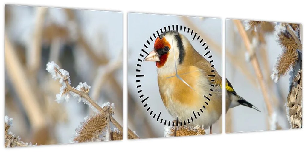 Kép - Aranypinty (órával) (90x30 cm)