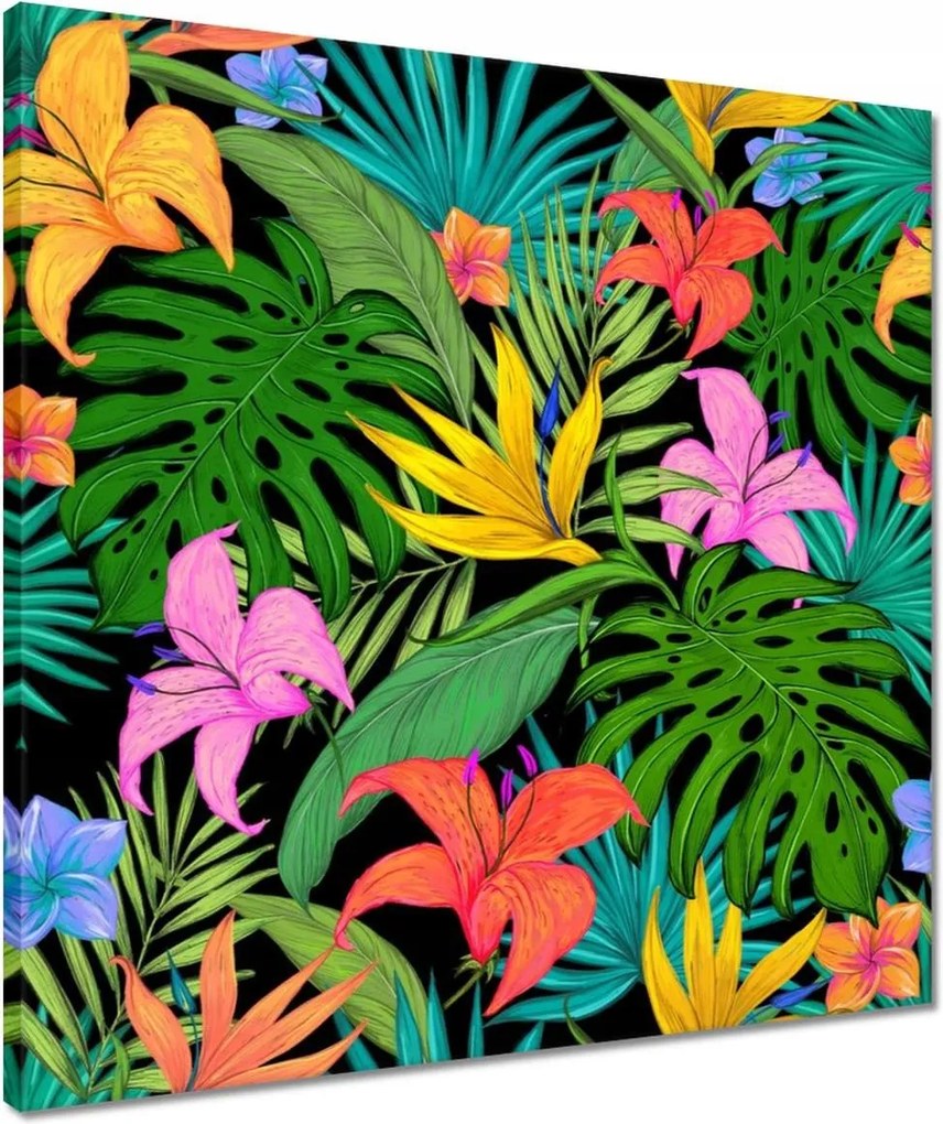 Vászonkép 50x50 Levelek Monstery Levelek