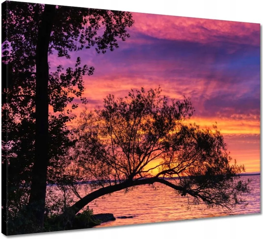 Vászonkép 50x40 Tó Fa Nyugat