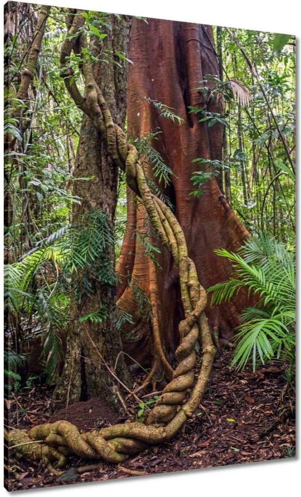 Vászonkép 70x100 Tájkép Látvány