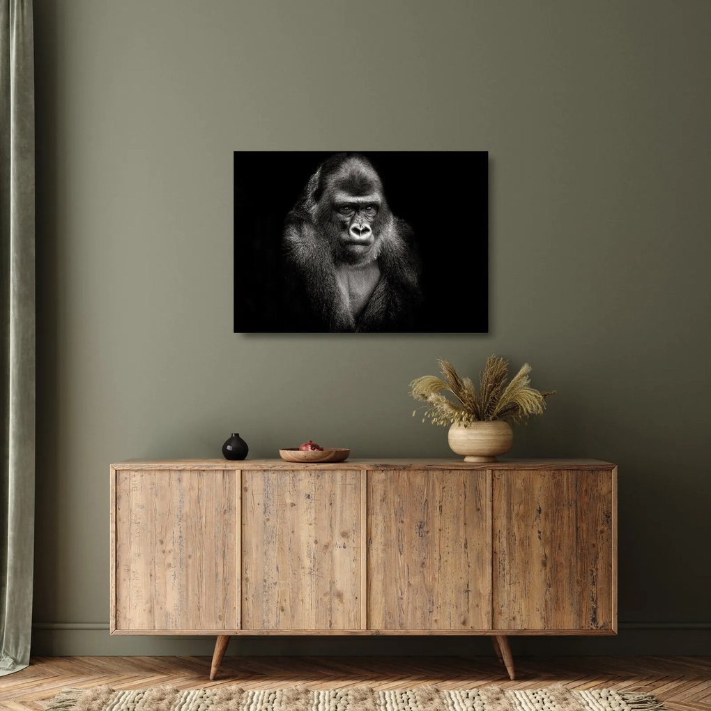 Üveg kép - Gorilla (70x50 cm)