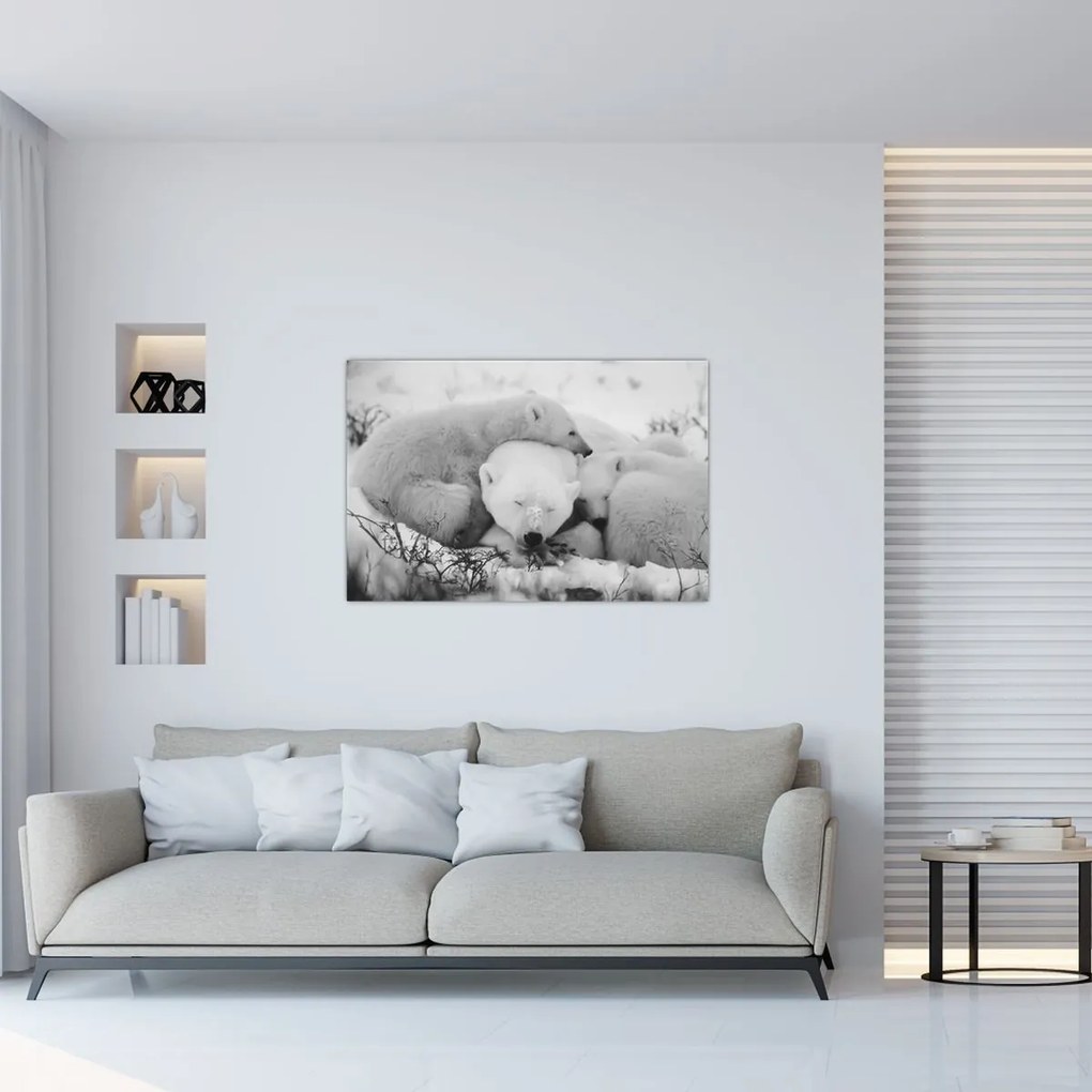 Kép - Jegesmedvék (90x60 cm)