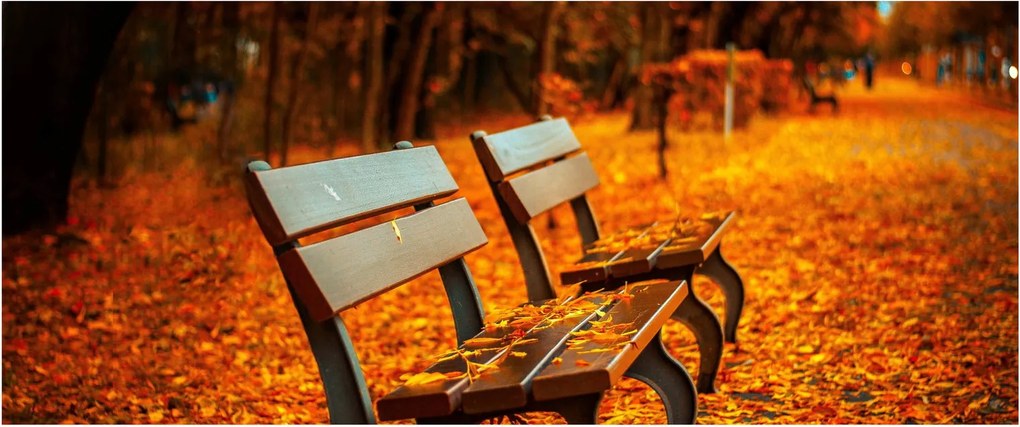 Padok ősszel képe (120x50 cm)
