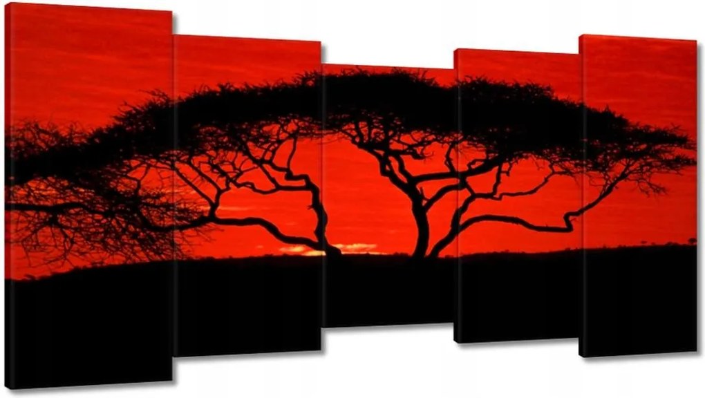 Festmények 150x80 Akác Afrikában