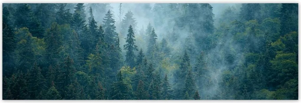 Poszterek 200x66 Erdő a ködben Utazás