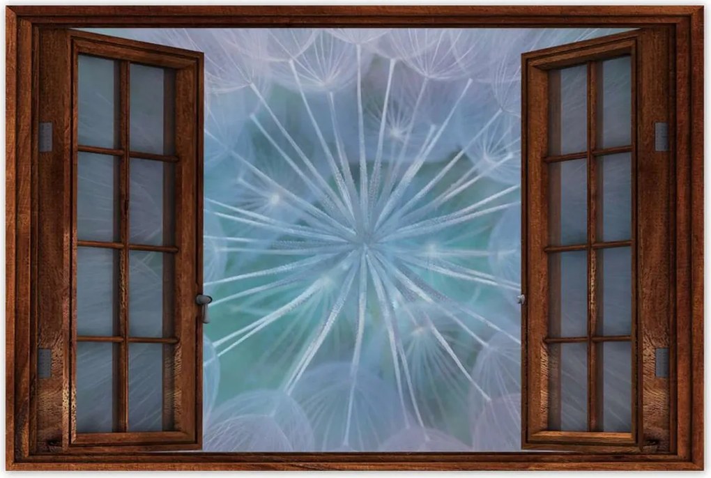 Poszterek 120x80 Pitypang Virág Virágok