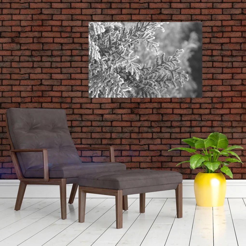 Kép - Lucfenyő erdő (90x60 cm)