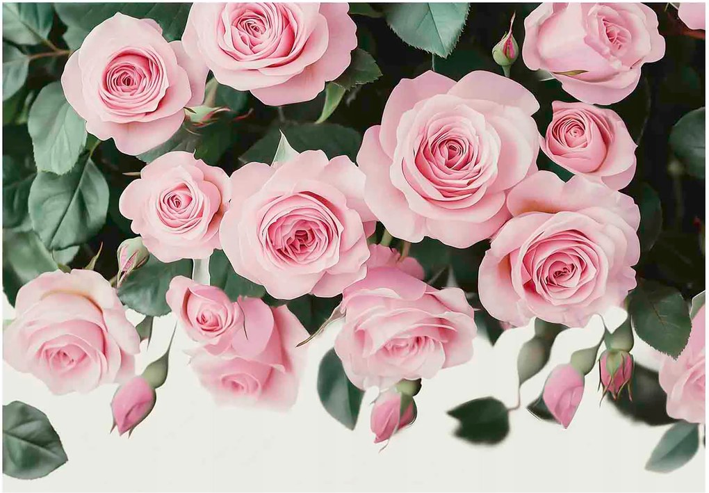 Fotótapéta Virágok Rózsa Falra Akasztható Hálószoba Nappali 250x175