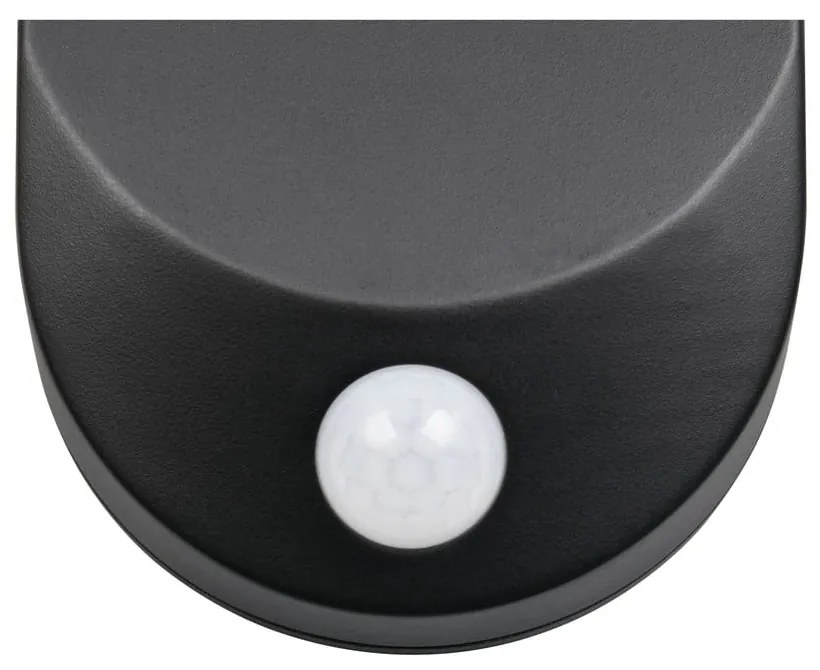 Napelemes LED fali kültéri lámpa (magasság 26 cm) Lagoas – Trio