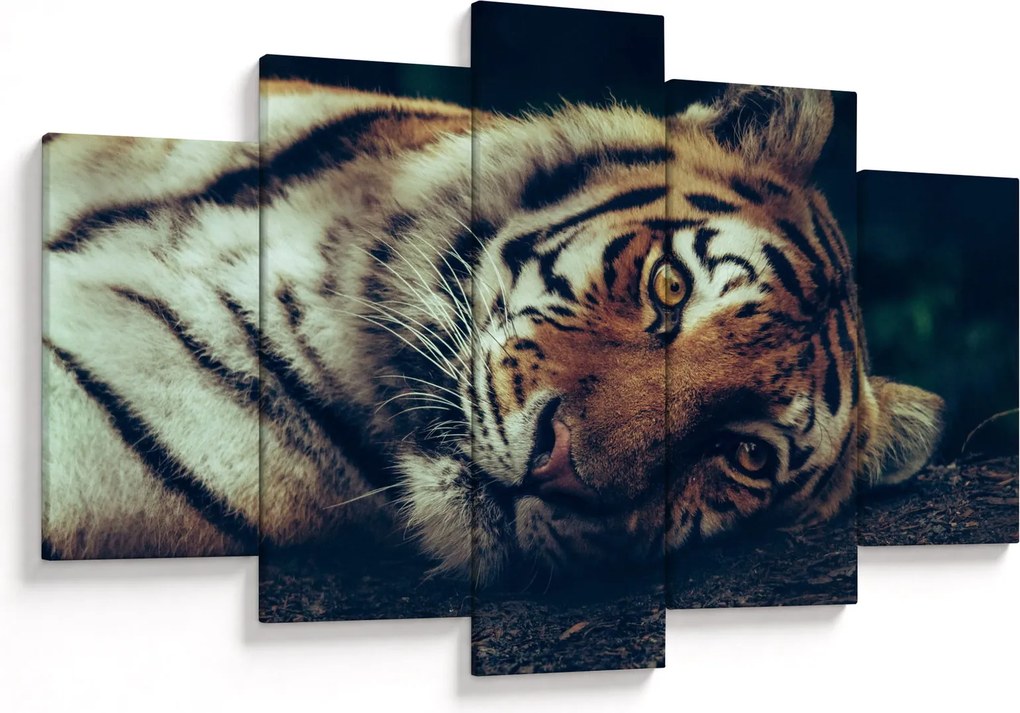 Kép - Szibériai tigris (150x105 cm)
