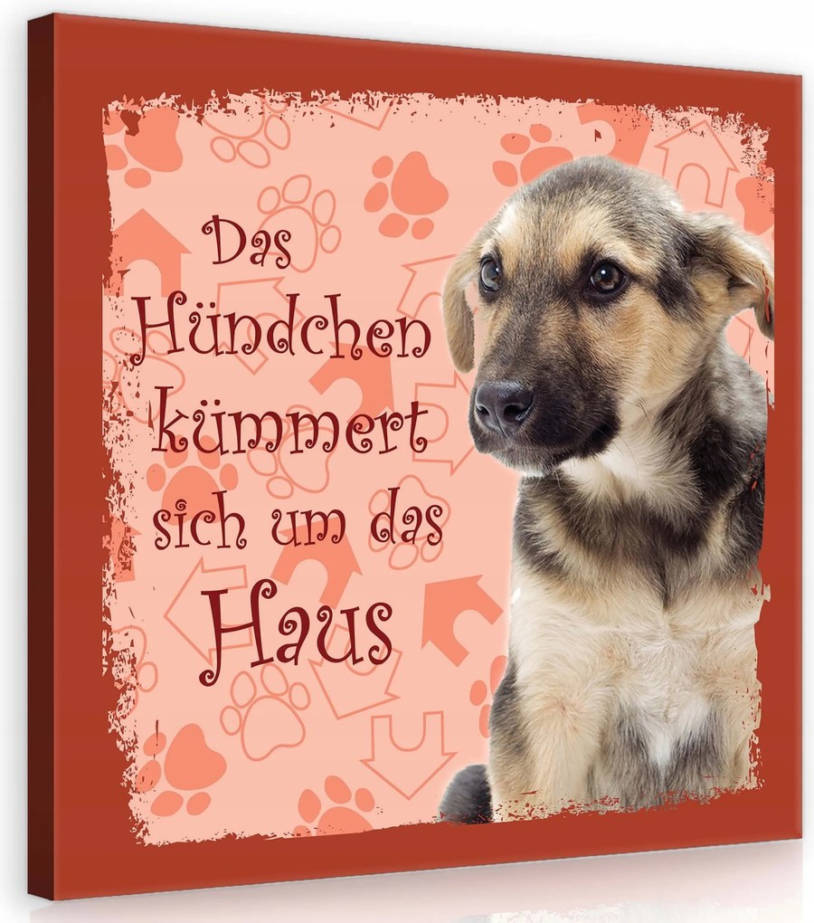 Vászonkép 80x80 Kiskutya kutya ház gondoskodó aranyos csintalan német ujjlenyomatok