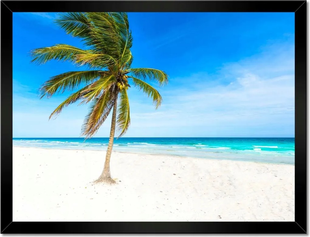 Poszterek keretben 40x30 Trópusok Tájkép Pálma