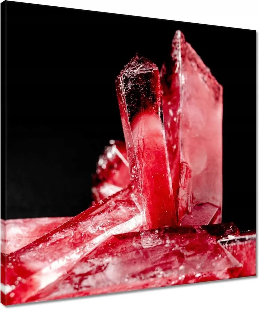 Vászonkép 50x50 Makrofotó MacroFoto