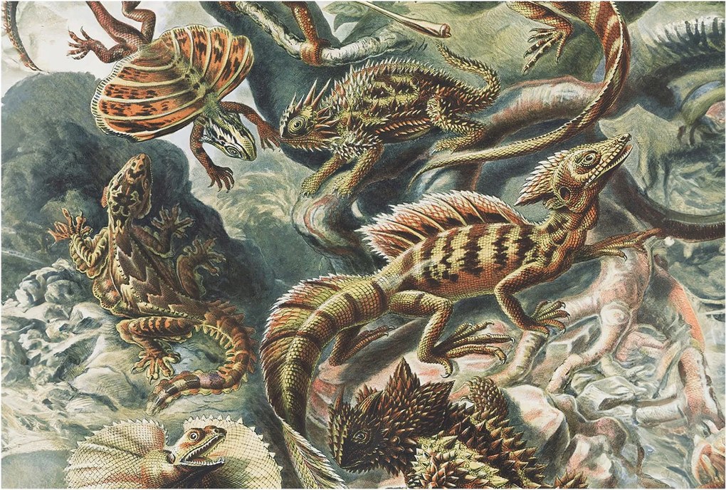 Fotótapéta Flizelina Nappali és Hálószoba Irodába Egzotikus hüllők 104x70 Ragasztó