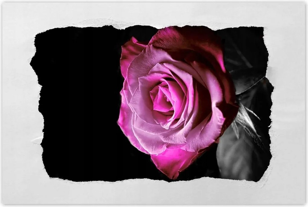 Plakátok 120x80 Lila rózsa