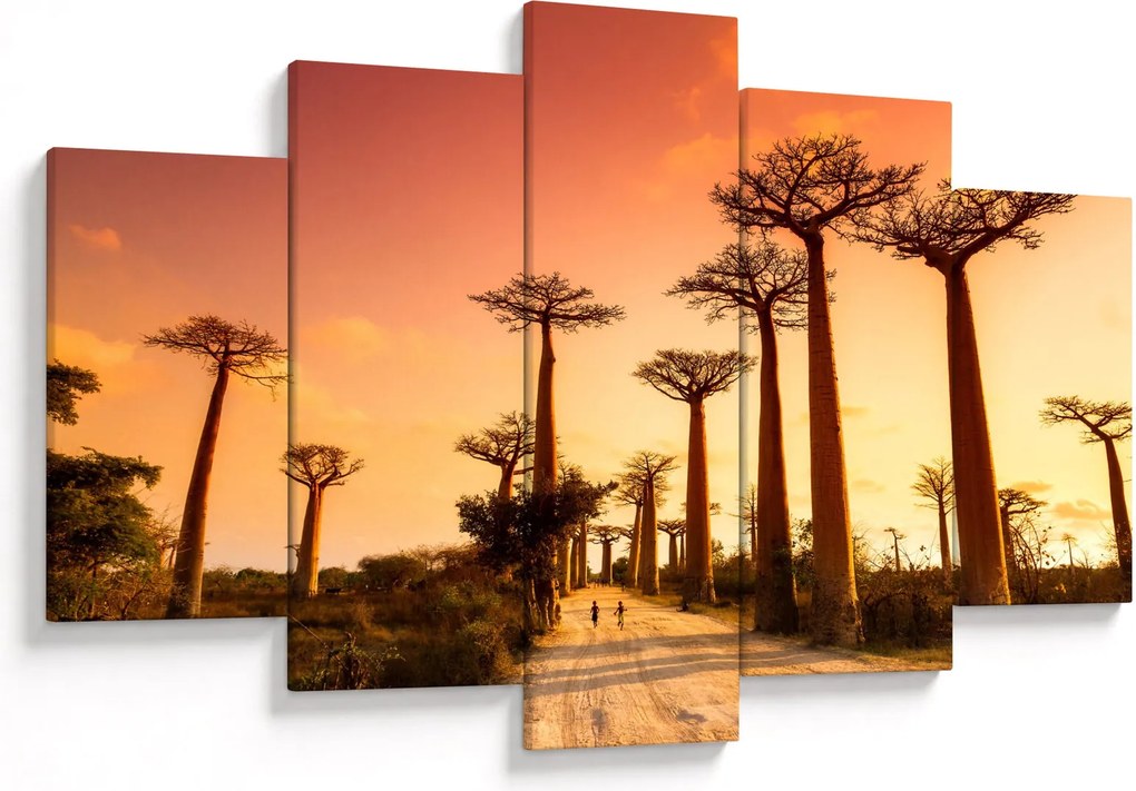 Kép - Naplemente a Baobab Alley-ben (150x105 cm)