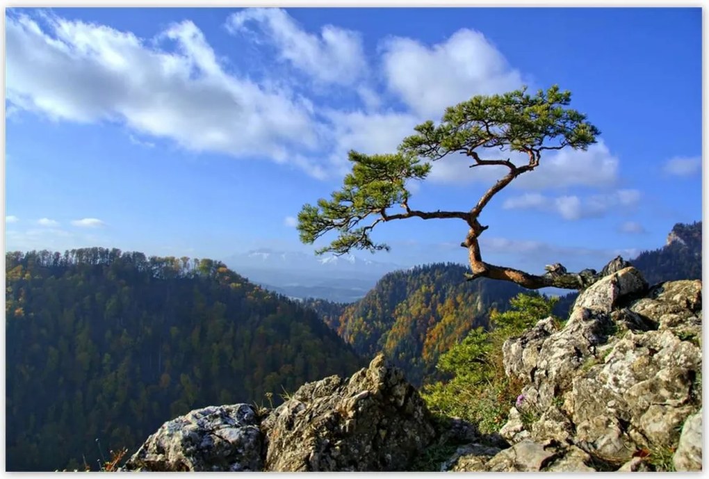 Poszterek 120x80 Tájképek Kilátások Tájképek