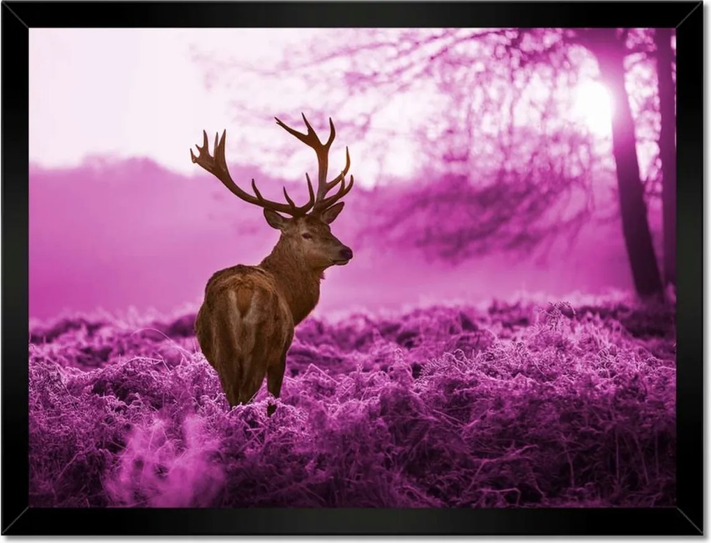 Poszterek keretben 40x30 Szarvas a lila erdőben