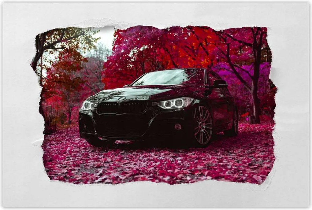 Poszter 60x40 Fekete Bmw Ősz