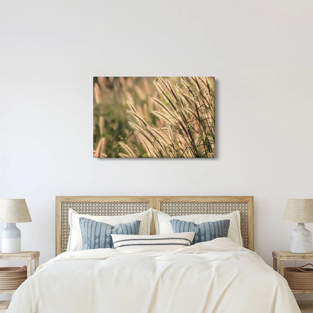 Kép - Gabona (90x60 cm)