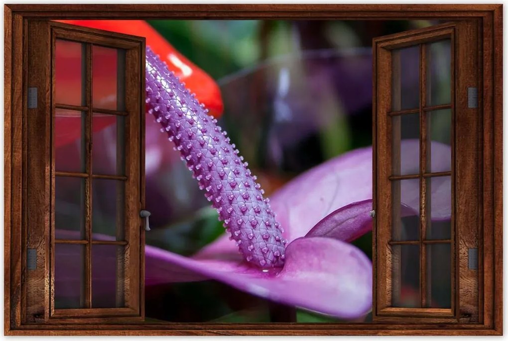 Poszterek 60x40 Lila antúrium