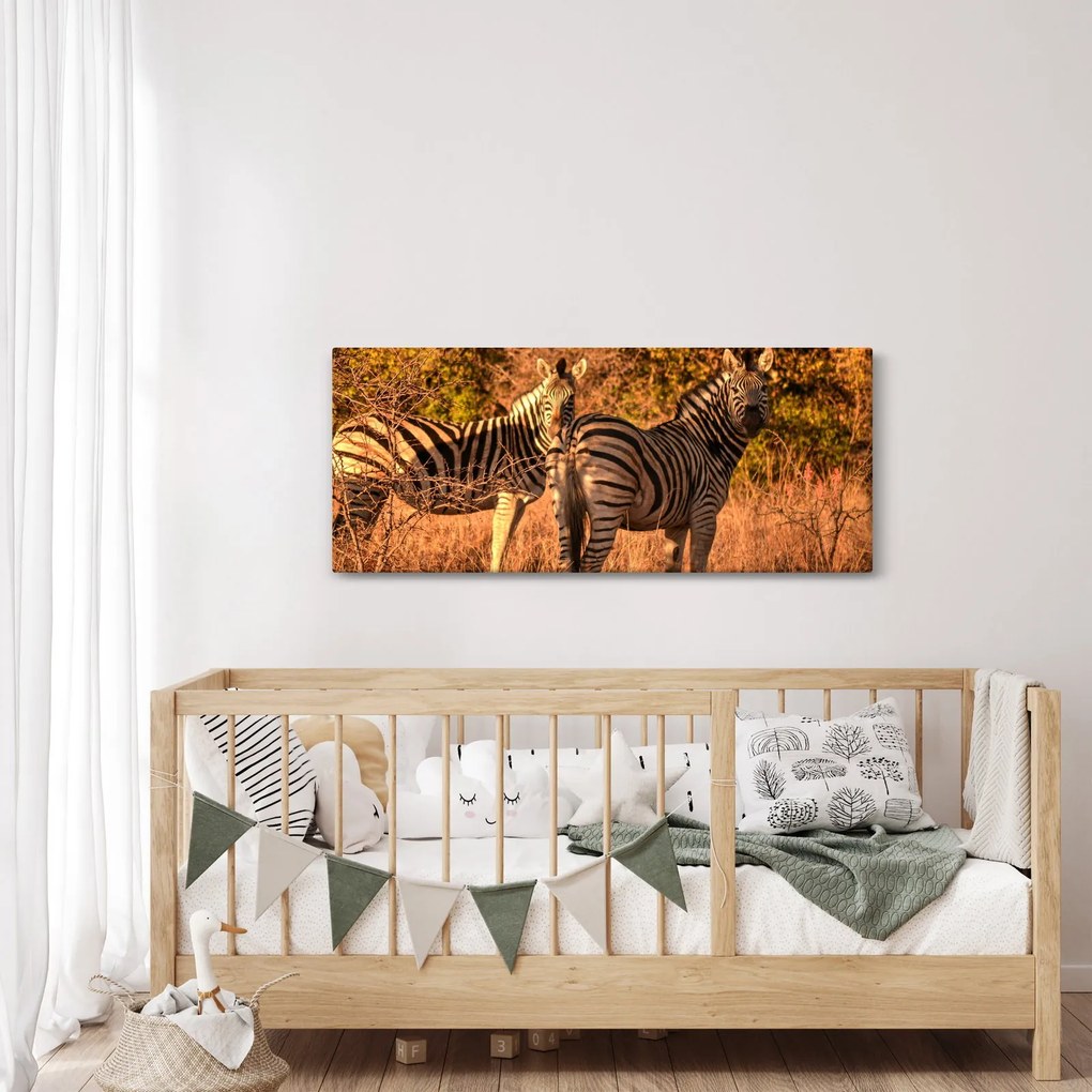Zebrák képe (120x50 cm)