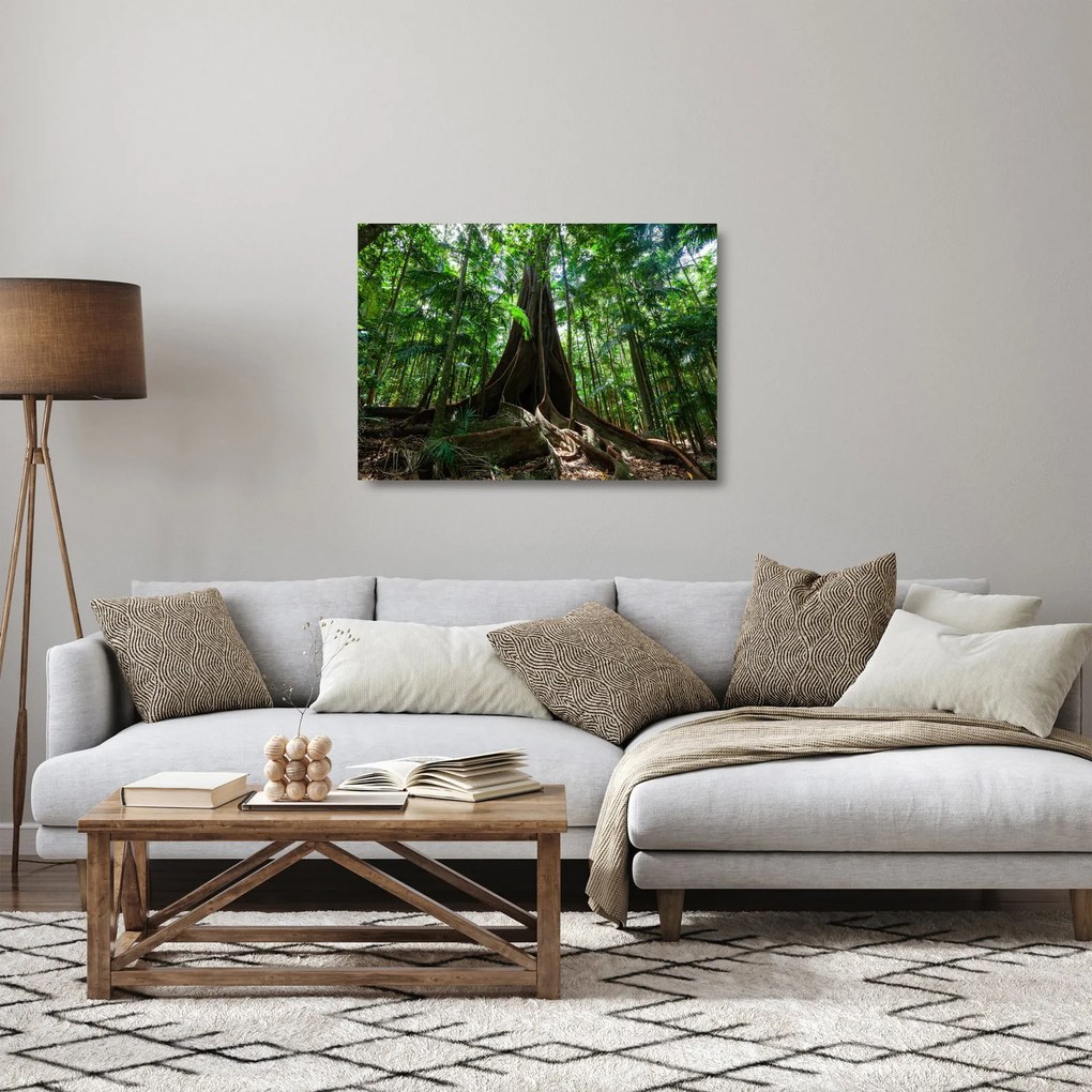 Üveg kép - A fa gyökerei (70x50 cm)