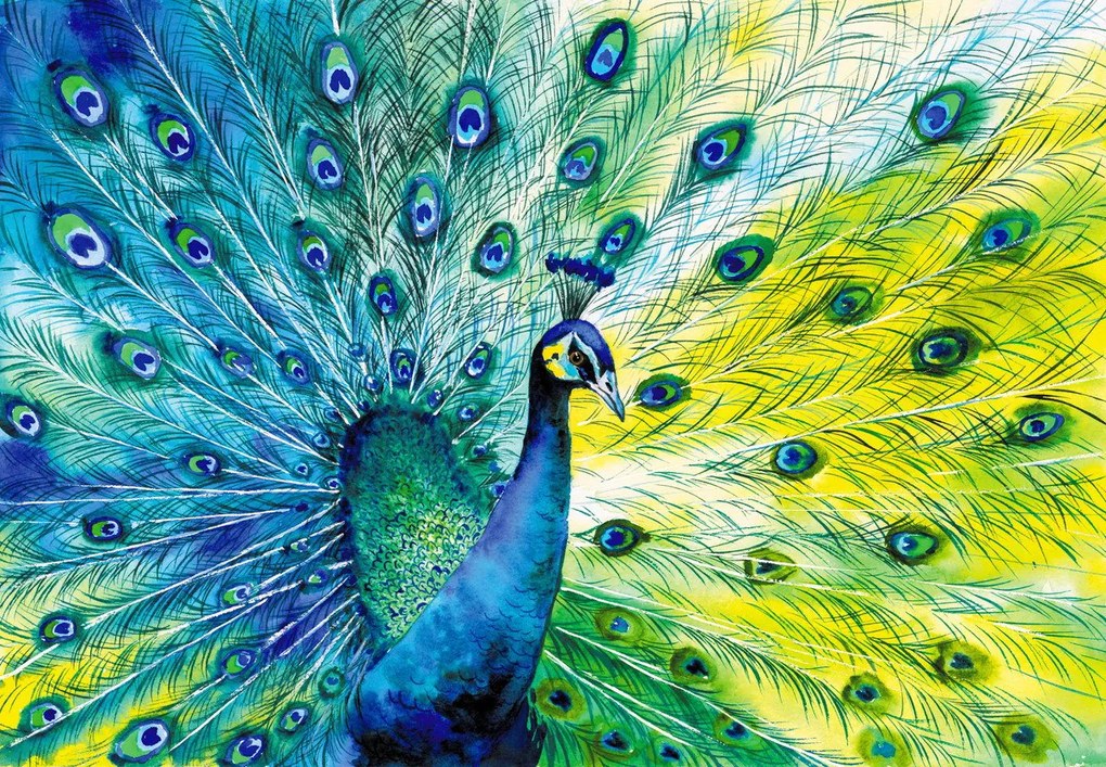 Fotótapéta - Páva (147x102 cm)