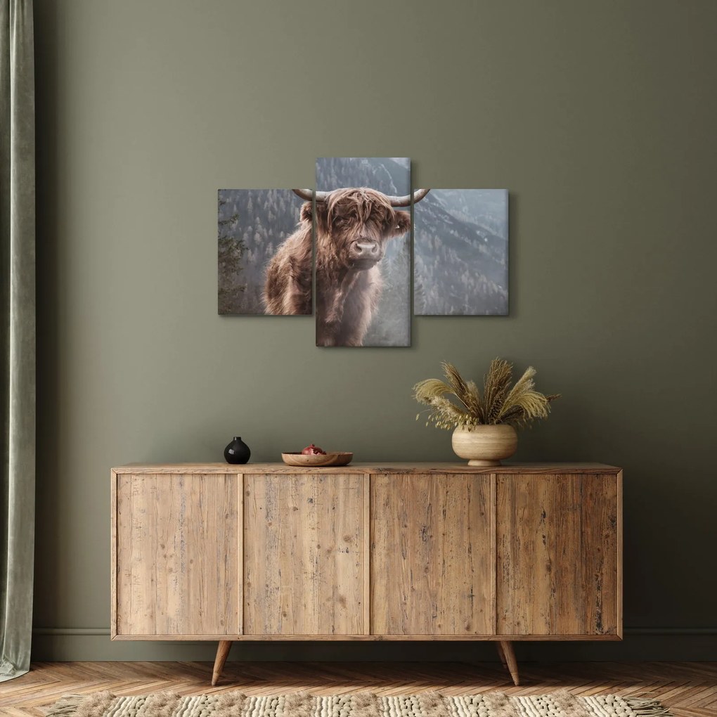 Kép - Highlander tehén (90x60 cm)