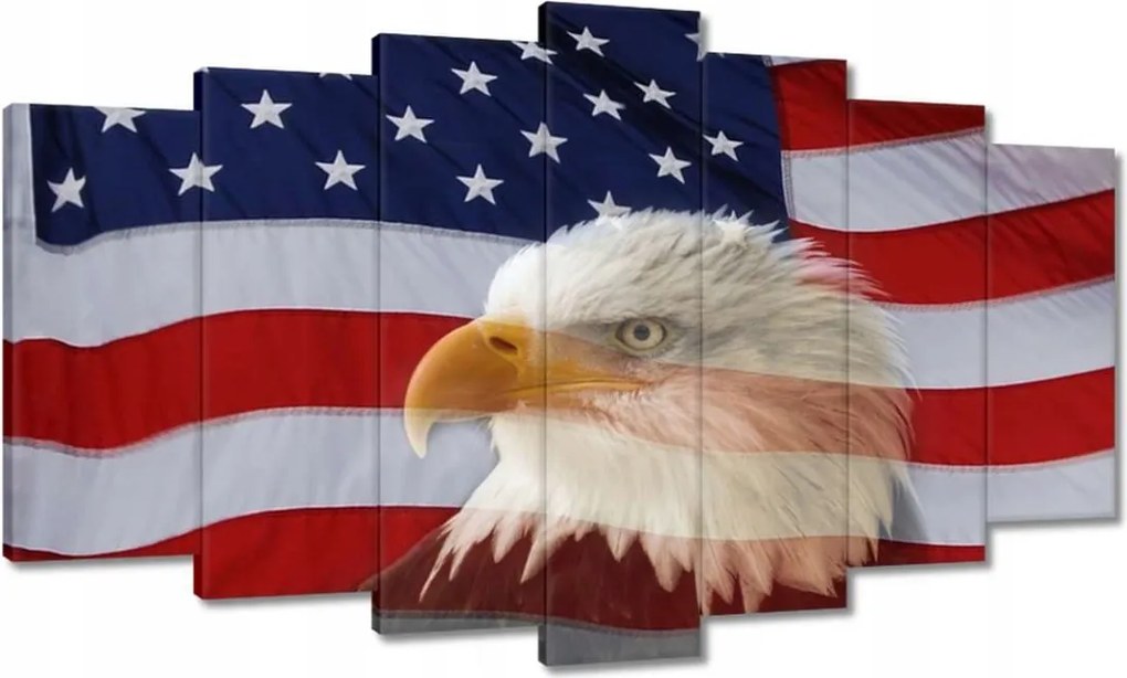 Festmények 140x80 Freedom from Usa