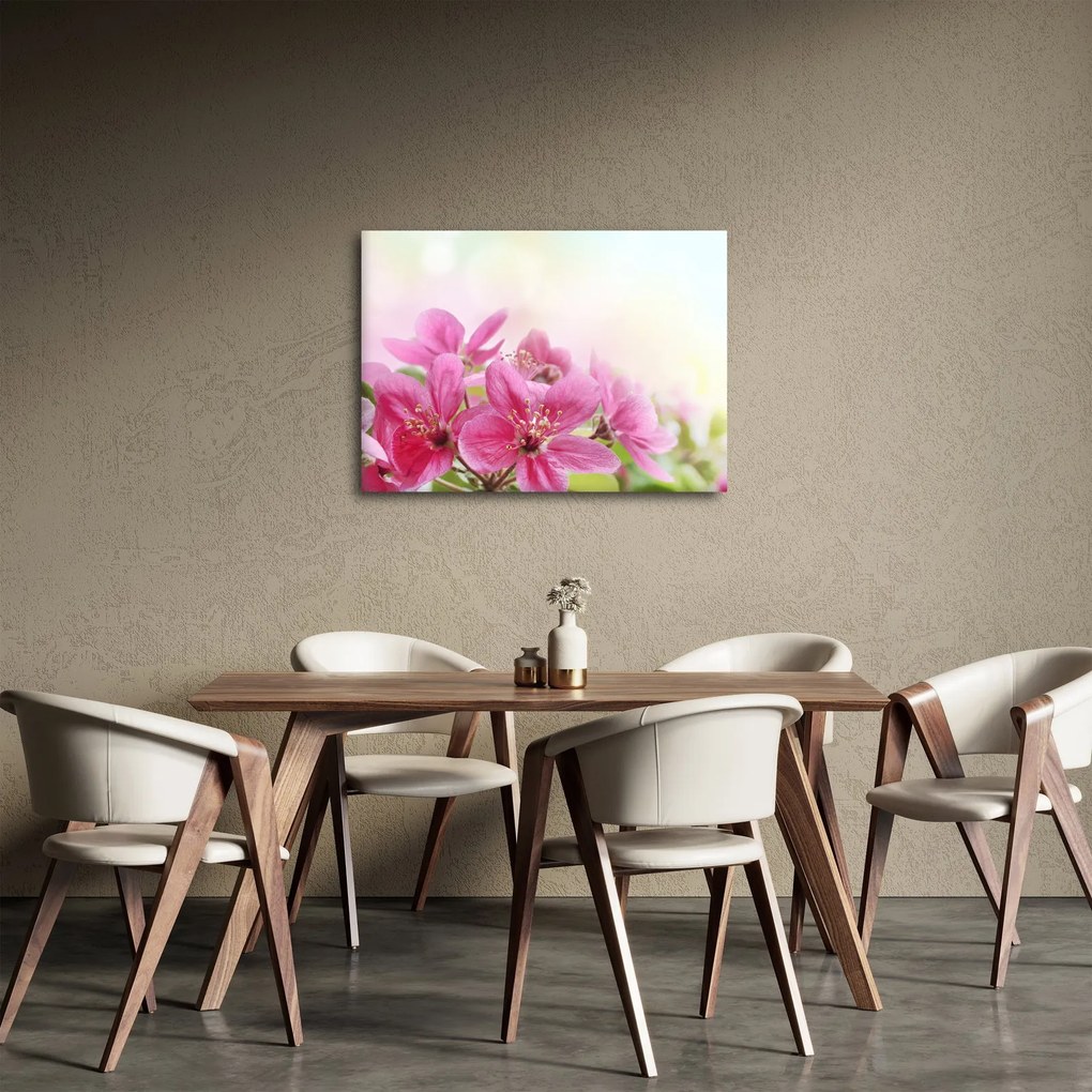 Kép - Rózsaszín virágok (70x50 cm)
