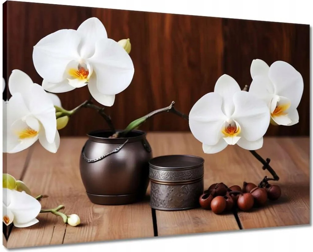 Vászonkép 70x50 Fehér orchideák