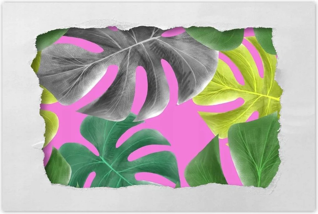 Poszter 60x40 Levelek Monstery