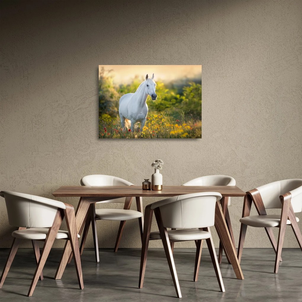 Egy fehér ló képe a réten (üvegen) (70x50 cm)