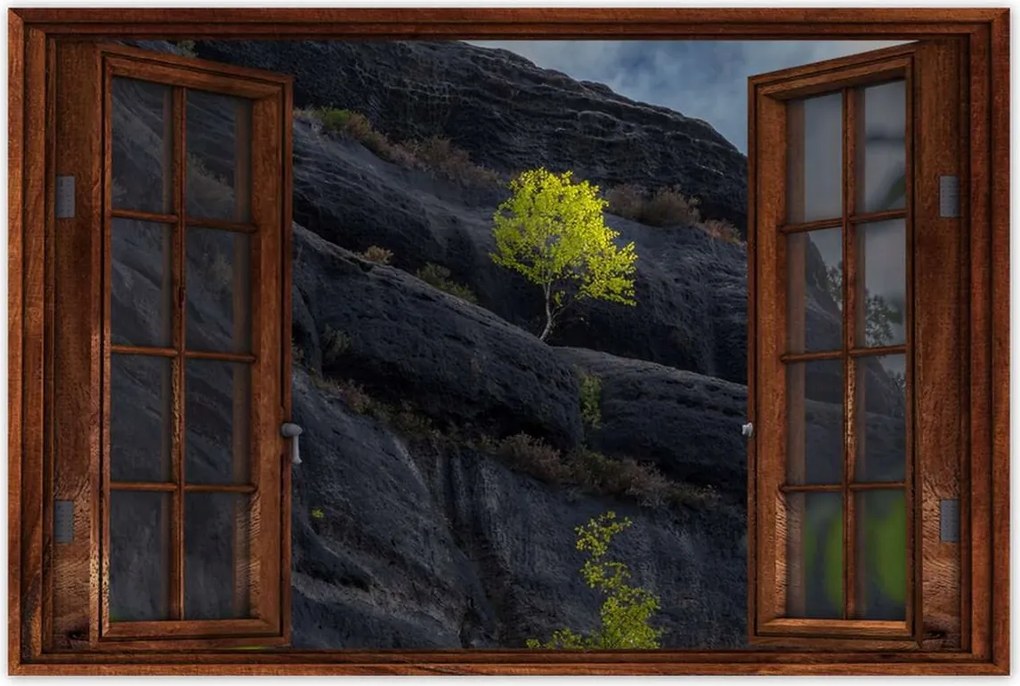 Poszterek 90x60 Fa Kilátás