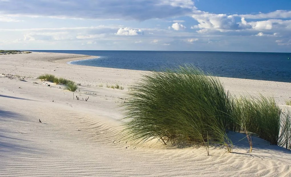 Fotótapéta - Északi-tengeri strand (152,5x104 cm)