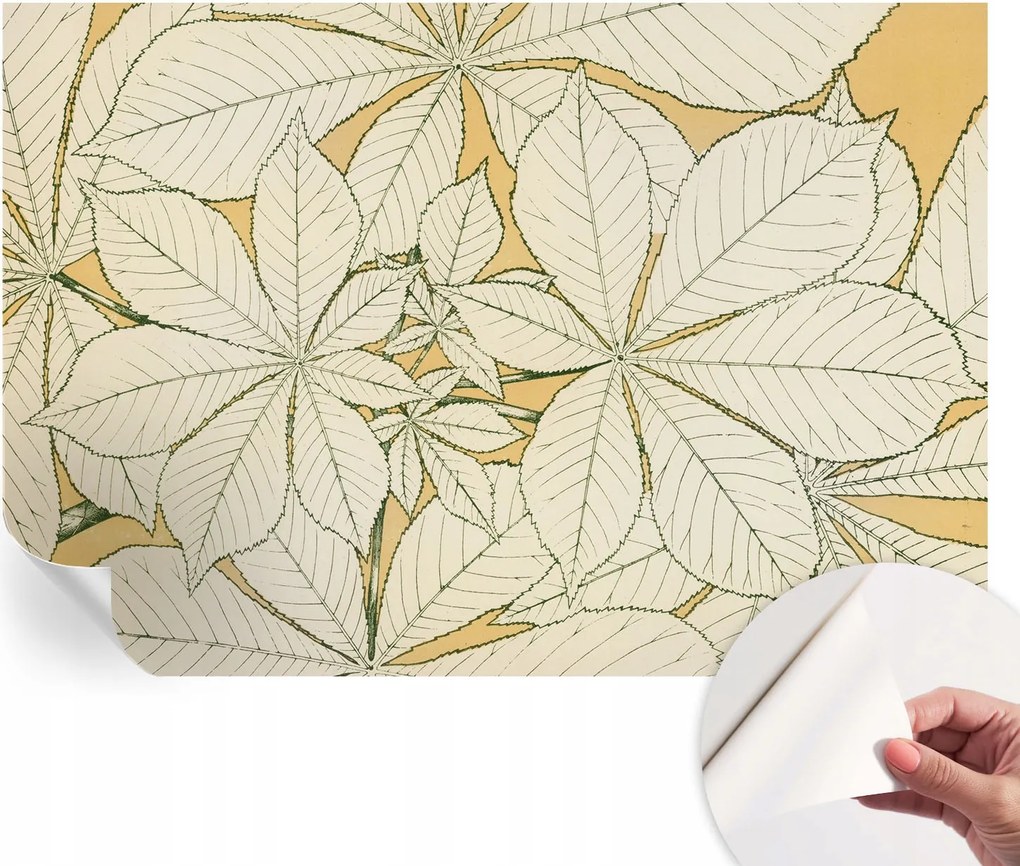 Fotótapéta Öntapadós Design Divatos Gesztenye levelek 152x104 cm