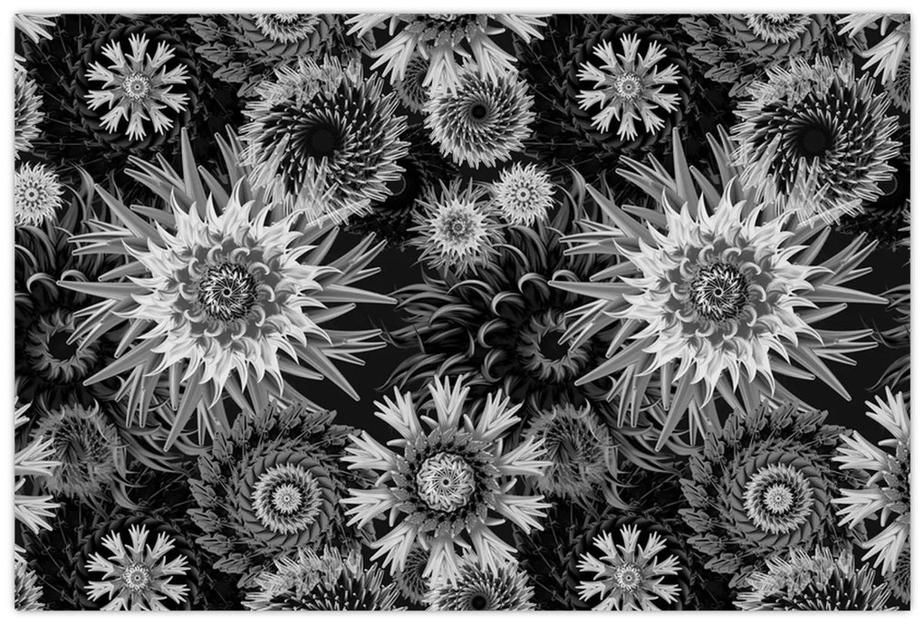 Kép - Fekete és fehér gyűszűvirág (90x60 cm)