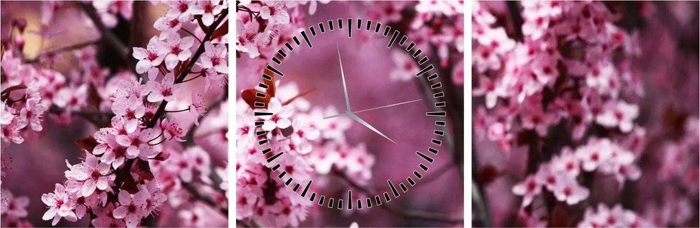 Kép - Rózsaszín sakura (órával) (90x30 cm)
