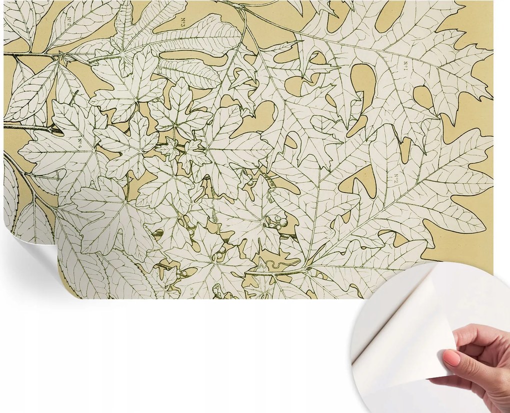 Design fali fotótapéta Öntapadós falevelek 416x254 cm