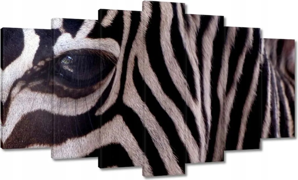 Festmények 140x80 Makro fotó zebra